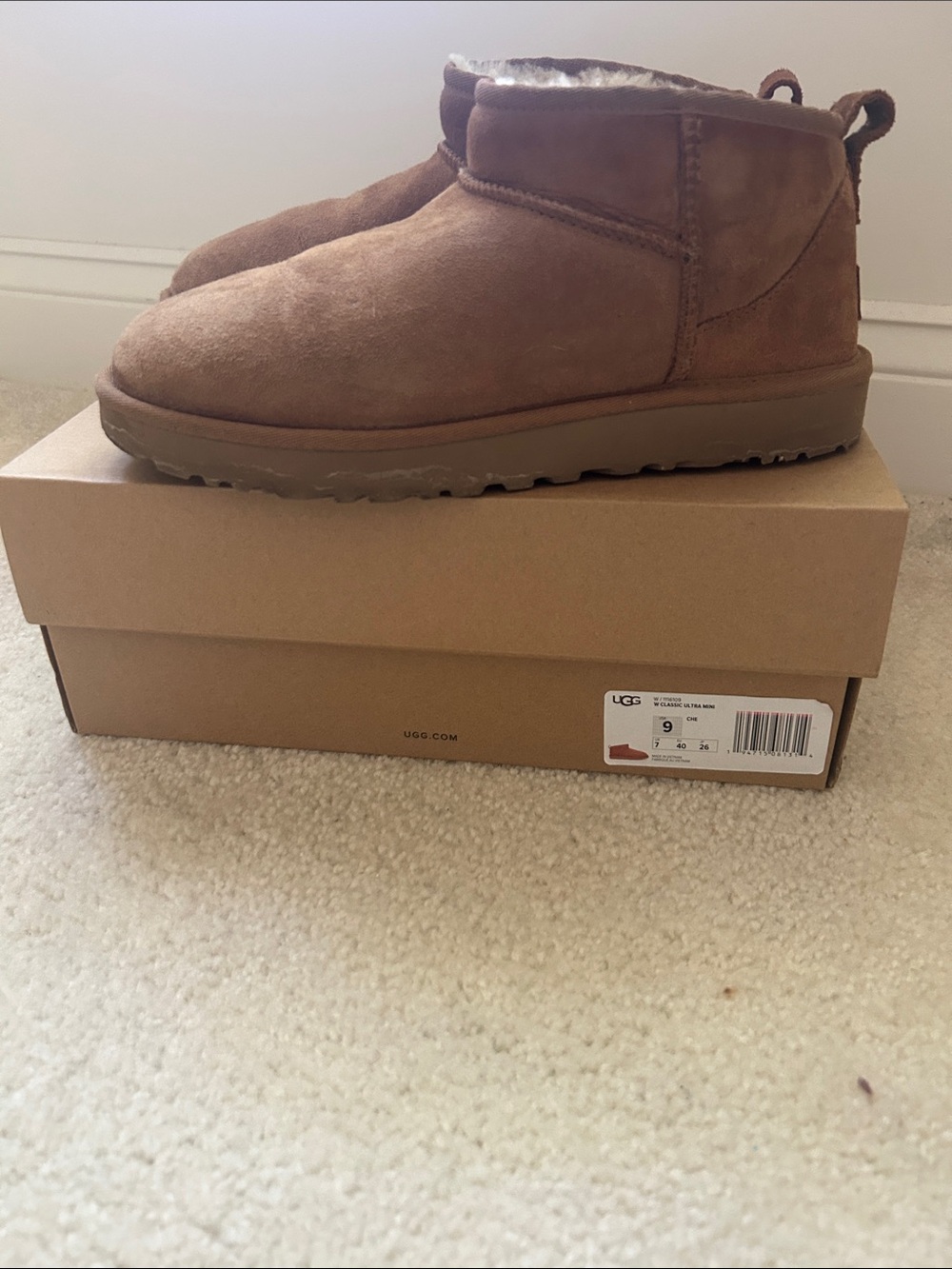 UGG Men's Mini Boot in Chestnut Brown